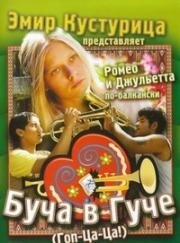 Буча в Гуче (2006)