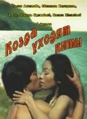 Когда уходят киты (1981)