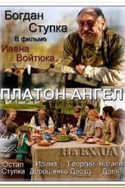 Платон Ангел