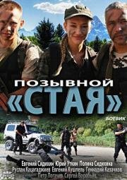 Позывной «Стая» (2013)