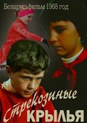 Стрекозиные крылья (1968)