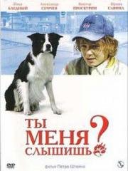 Ты меня слышишь? (2007)