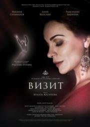 Визит (2013)