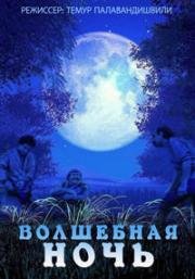 Волшебная ночь (1983)