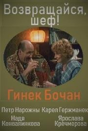 Возвращайся, шеф! (1984)