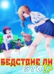 Бедствие ли это? (2019)