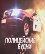 Полицейские будни (2012)