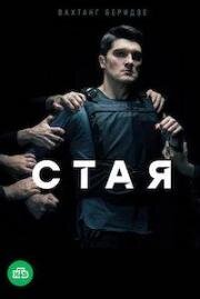 Стая