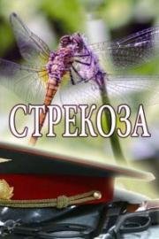 Стрекоза (2018)