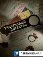 Участковый детектив (2011)